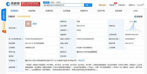 愛(ài)奇藝在重慶成立科技公司，拓展創(chuàng)業(yè)空間與信息系統(tǒng)集成服務(wù)